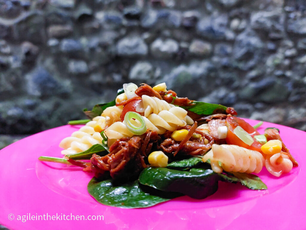 On a pink picnic plate, a pile of pulled pork pasta salad